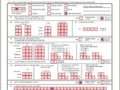 Report Form Example