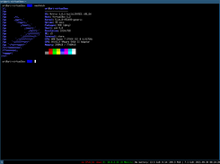 Nitrux Screenshot 4