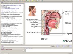 Figura 6.- NIVEL9 Ejecutando módulo explicativo COMO de SE para diagnóstico médico