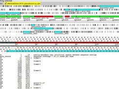 Editing annotations with Artemis (www.sanger.ac.uk)