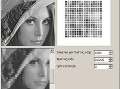 QT sample with Self Organized Map neural network