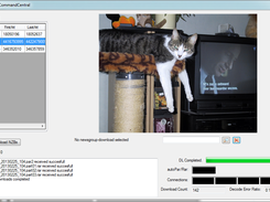 CommandCentral with a dragged .jpg of a cat - Golverd standard software