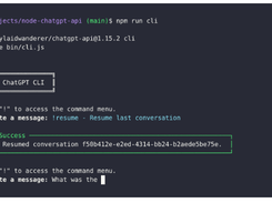 Node ChatGPT API Screenshot 1