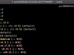 Sample of installed version of node