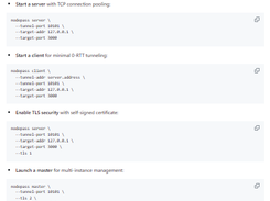 NodePass Screenshot 1