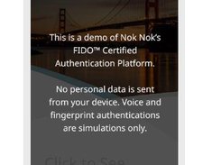 Nok Nok S3 Authentication Screenshot 1