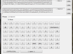 Password entry panel and hashes.