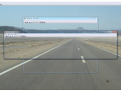 nomacs synchronized view