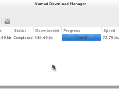 Nomad Download Manager Screenshot 1