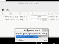 Nomad Download Manager Screenshot 3