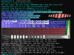 Notcurses Screenshot 1