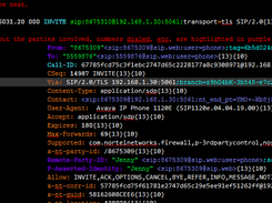 Notepad++ SIP Language Screenshot 1