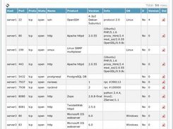 4 - NSDi, respoitory services detail