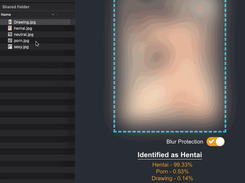 Sample screenshot - classifying images