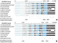 Comparison of NA18507 novel sequences with other selected sequences -- Before and After removal of EBV contaminant