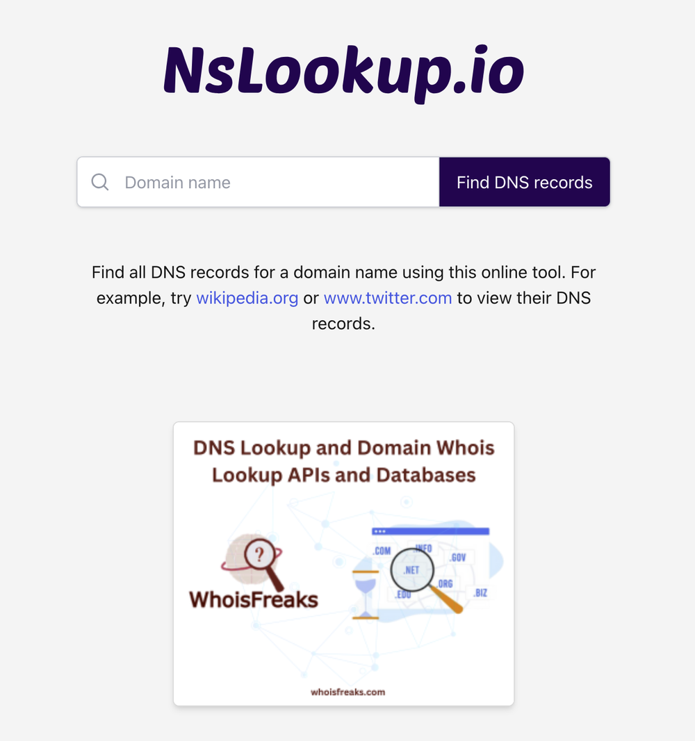 NsLookup.io Screenshot 1