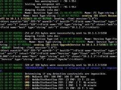 Sample screenshot of a response agent log/console.