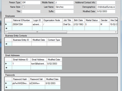 Wizard generated data entry form