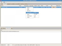 view og started torrent list and trackerlist