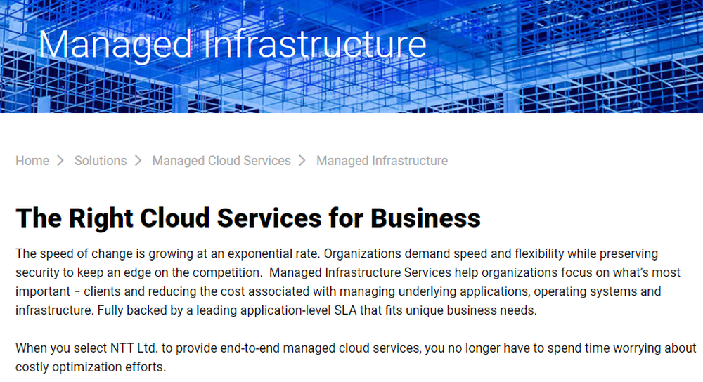 NTT Managed Infrastructure Screenshot 1