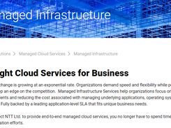 NTT Managed Infrastructure Screenshot 1
