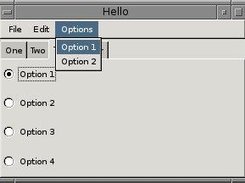 NTW Radio buttons and menu.