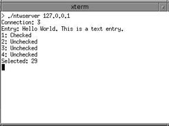 Server callback: prints text entry and radio button state