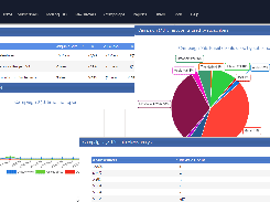 Summary report