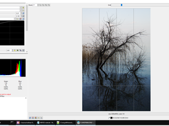 Nufraw 0.42 on WIndows 10