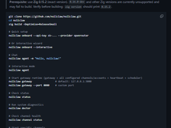 NullClaw Screenshot 1
