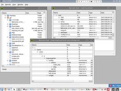 nullfxp 1.0.0 on kde 3.5.7 , gentoo 2007, kernel 2.6.22