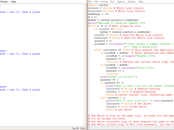Code + Output Shell