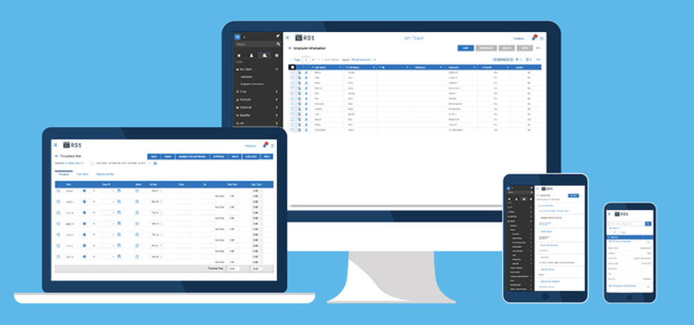 PayMaster HCM Screenshot 1