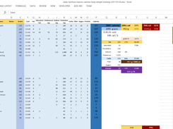 Meal Log Sheet (2017)
