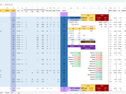 Meal Log Sheet (2018)