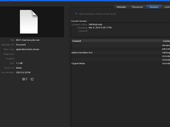 Asset with versions in Final Cut Server