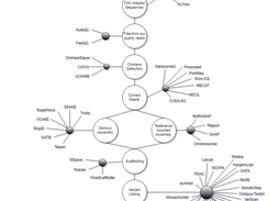 Software Pipeline