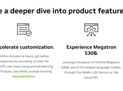 NVIDIA NeMo Screenshot 2