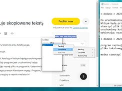 nwslator Screenshot 1
