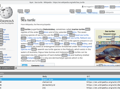 Nyxt Screenshot 2