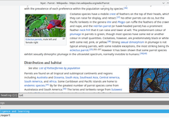 Nyxt Screenshot 1