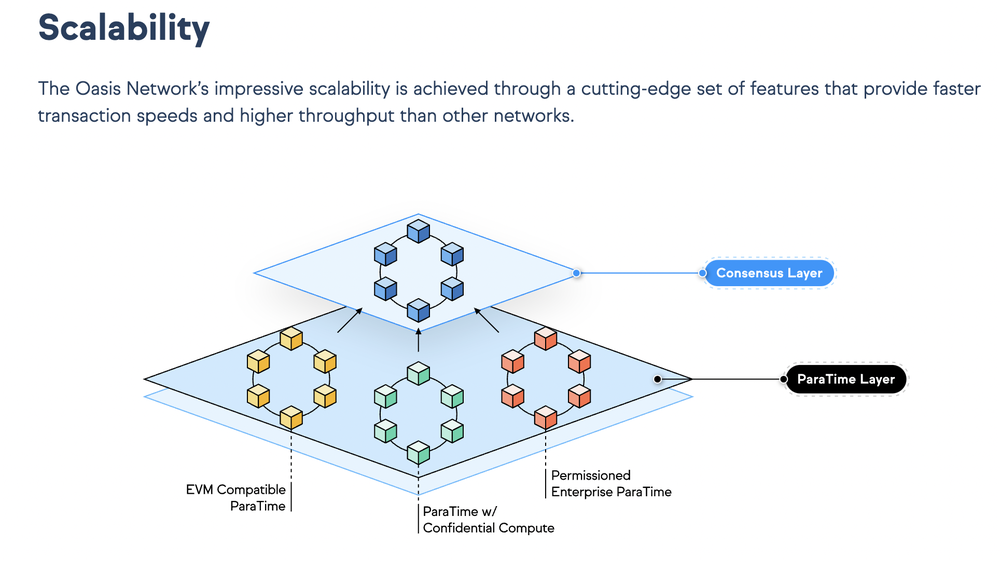 Oasis Network Screenshot 1