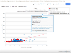 Correlation Plot