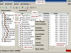 Detail view and GUI description (in german)