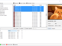 Sync Files