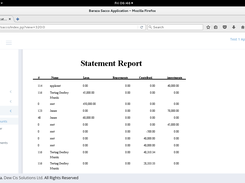 the reports and how they should look