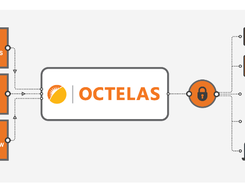 OCTELAS Screenshot 2
