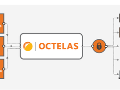 OCTELAS Screenshot 1