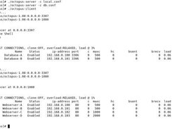 Starting and interfacing with multiple instances