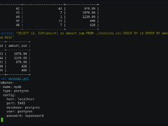 OctoSQL Screenshot 1